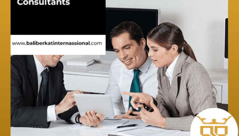 Understanding-the-Role-of-Business-Consultants