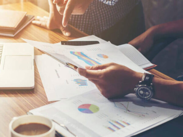 bali berkat internasional PMA foreign investment service