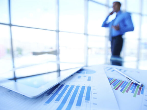 bali berkat internasional PT individual local investment service